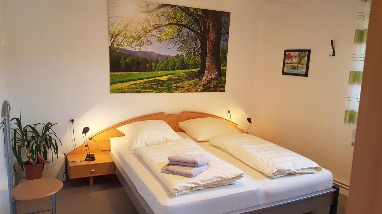 Haus Christa Appartement Langelsheim Buitenkant foto