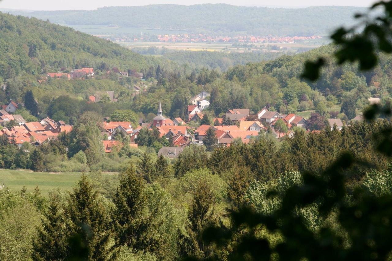 Haus Christa Appartement Langelsheim Buitenkant foto